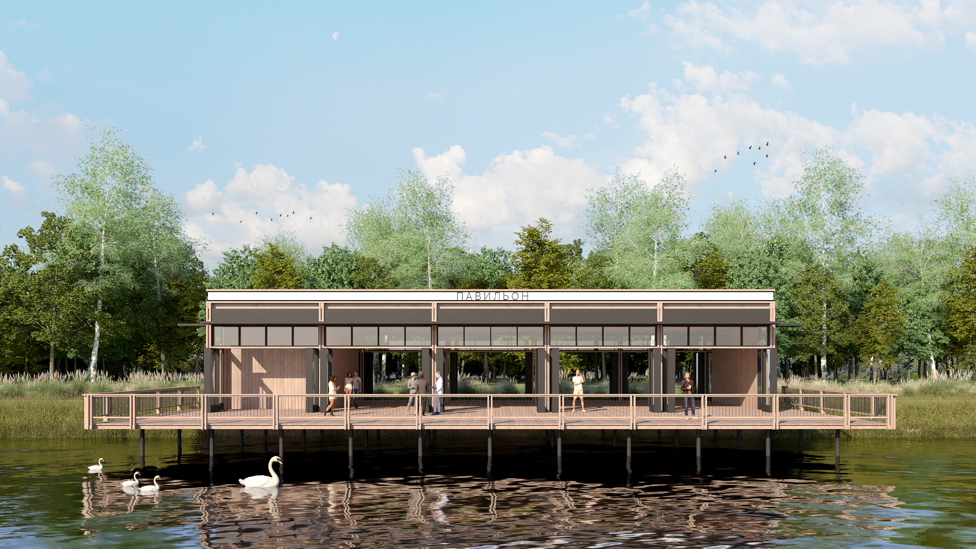 Public spaces in the park